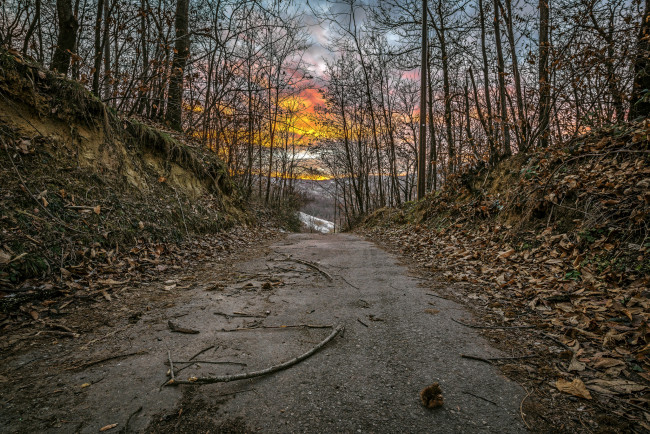 Обои картинки фото природа, дороги, лес, дорога