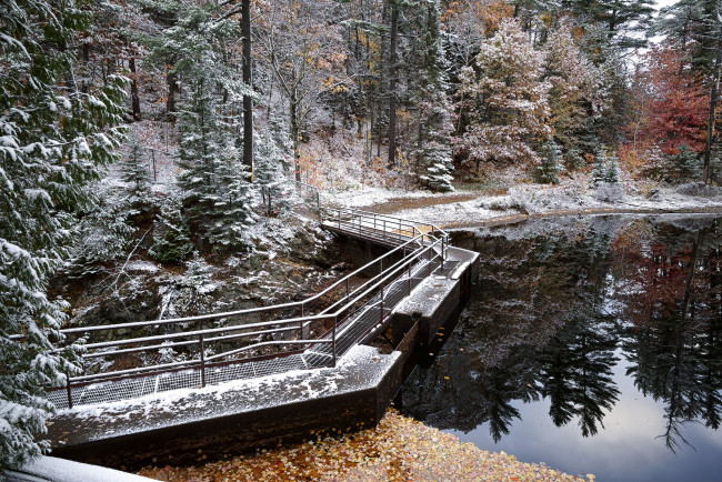 Обои картинки фото природа, реки, озера, дамба, река, лес