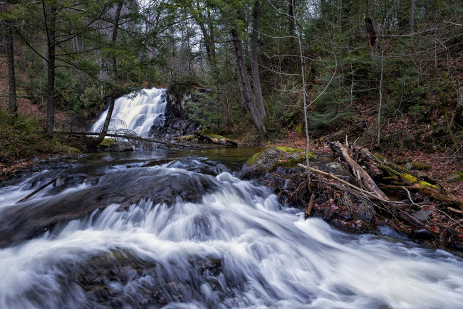 Обои картинки фото природа, водопады, водопад, река, лес