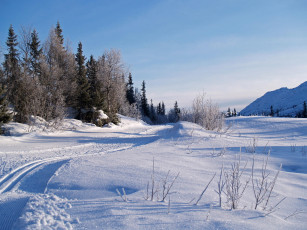 Картинка природа дороги снег деревья