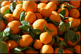 Картинка еда цитрусы плоды