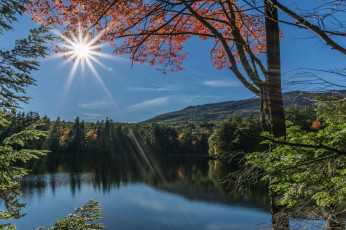 Картинка природа реки озера лес озеро лучи