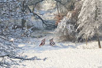 Картинка природа зима снег