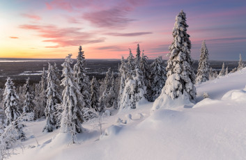 Картинка природа зима снег