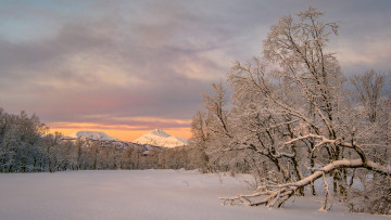 Картинка природа зима снег