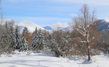 Картинка природа зима снег