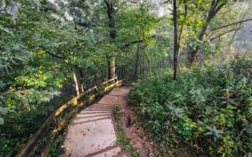 Картинка природа дороги тракт