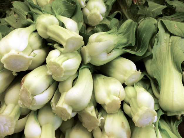 Обои картинки фото еда, капуста и её разновидности, китайская, капуста, листовая