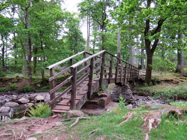 Обои картинки фото природа, дороги, тракт