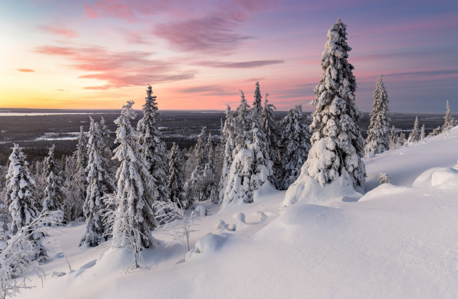 Обои картинки фото природа, зима, снег