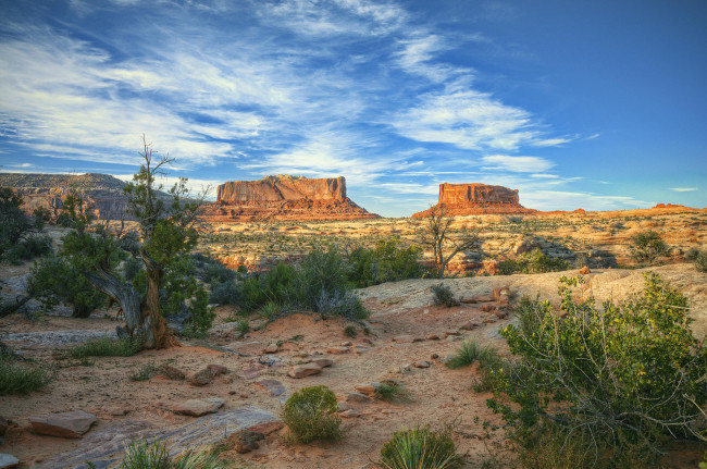 Обои картинки фото природа, пустыни, пустыня