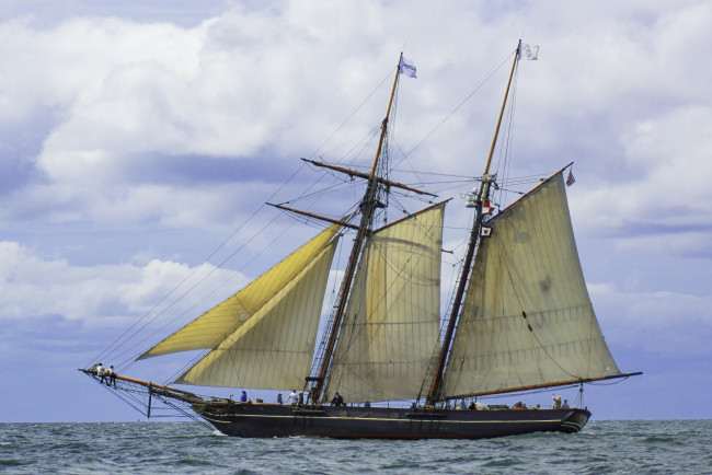 Обои картинки фото корабли, парусники, мачты, паруса