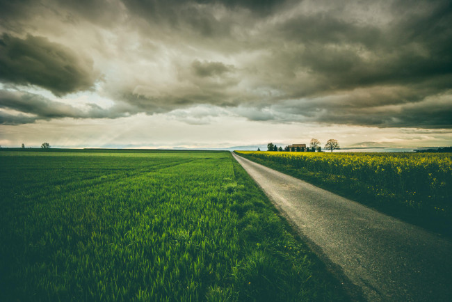 Обои картинки фото природа, дороги, дорога, поле