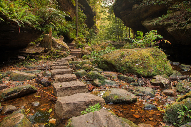 Обои картинки фото природа, дороги, тракт