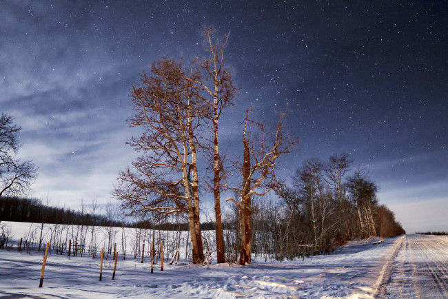 Обои картинки фото природа, дороги, тракт