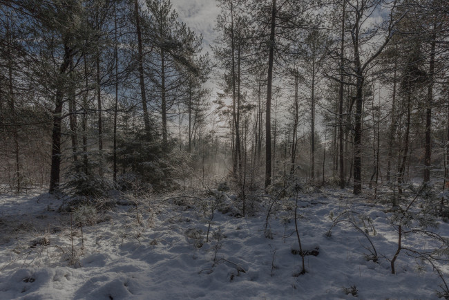 Обои картинки фото природа, зима, снег