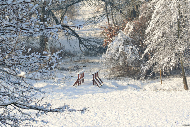 Обои картинки фото природа, зима, снег