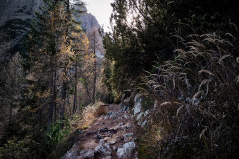 Картинка природа горы простор