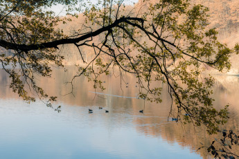 Картинка природа реки озера простор