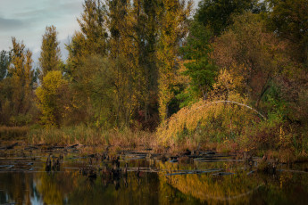 Картинка природа реки озера простор