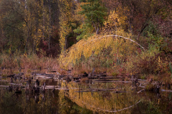 Картинка природа реки озера простор