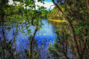 Картинка природа реки озера простор