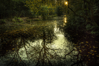 Картинка природа реки озера простор