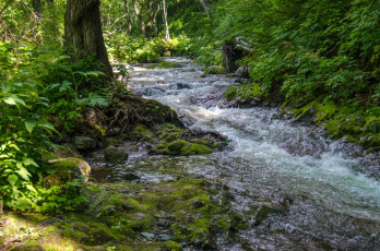 Картинка природа реки озера простор