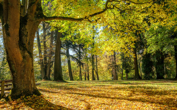 Картинка природа дороги простор