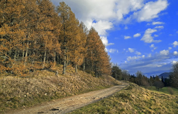 Картинка природа дороги простор