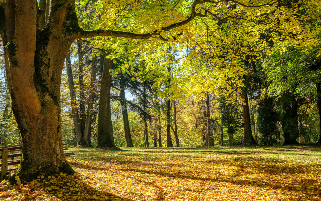 Обои картинки фото природа, дороги, простор