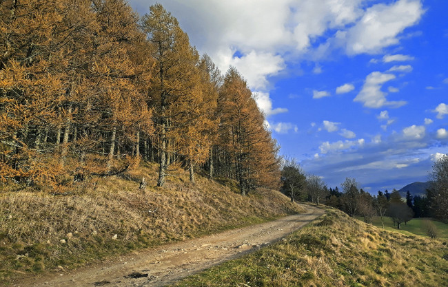 Обои картинки фото природа, дороги, простор