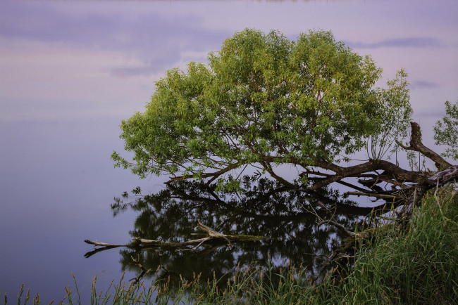 Обои картинки фото природа, дороги, простор