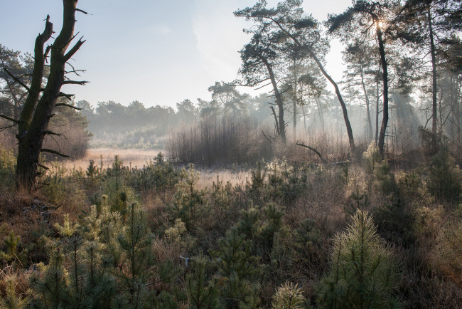 Обои картинки фото природа, пейзажи, простор