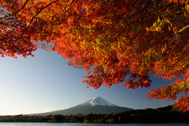 Обои картинки фото природа, пейзажи, простор