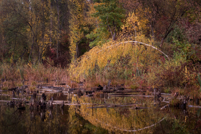 Обои картинки фото природа, реки, озера, простор