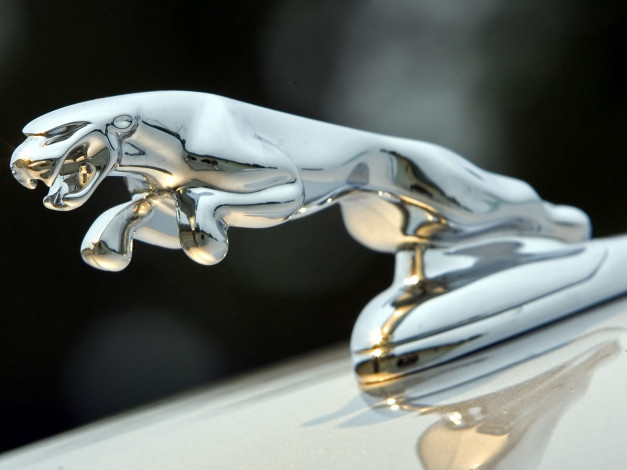 Обои картинки фото jaguar, xj, super, v8, бренды, авто, мото