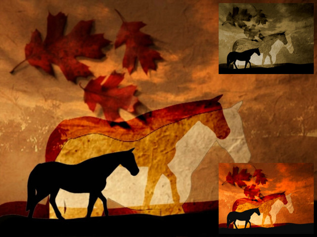 Обои картинки фото разное