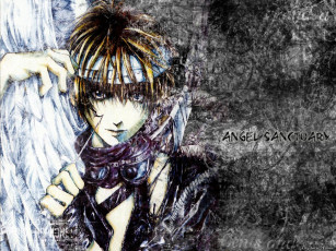 Картинка аниме angel sanctuary