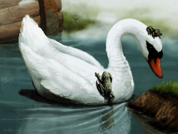 Обои картинки фото лягушки, лебедь, рисованные, животные
