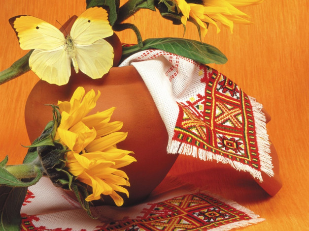 Обои картинки фото животные, бабочки