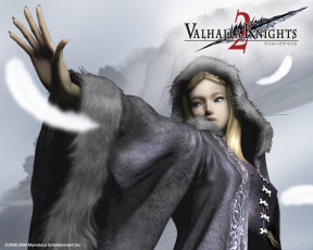 Картинка valhalla knights видео игры