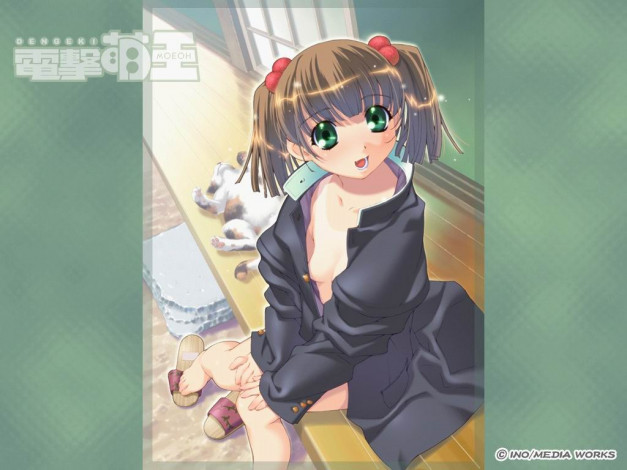 Обои картинки фото dengeki, аниме