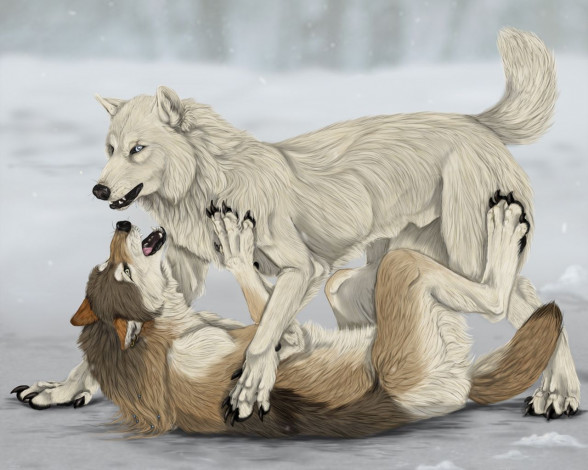 Обои картинки фото рисованные, животные