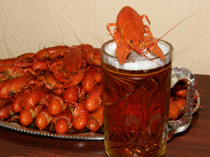 Картинка еда напитки пиво