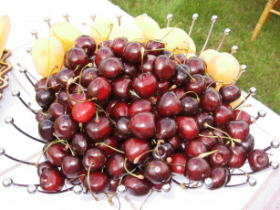 Картинка еда вишня черешня