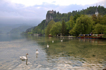 Картинка города пейзажи водоем деревья