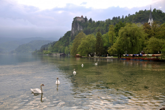 Обои картинки фото города, пейзажи, водоем, деревья