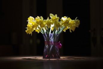 Картинка цветы нарциссы букет