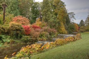 Картинка mount usher gardens ireland природа парк